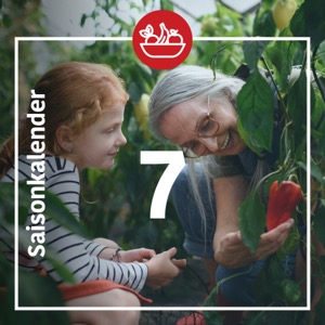 Türchen 7
